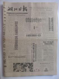 湖北日报1994年3月26日·葛洲坝电厂董事会成立，见义勇为邱正红，胡建章与同济