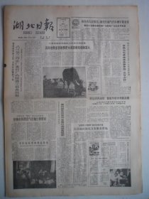 湖北日报 1988年1月6日：