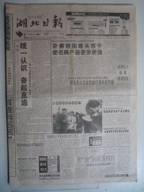 湖北日报 1997年5月20日·耕耘《从克隆胡志军说开去》周年丰《切莫光出思路不走路》
