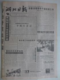 湖北日报 1996年6月4日·两院院士大会开幕，西藏举行十一世班禅受戒庆典，环保卫士杰桑·索南达杰，张大全笑了