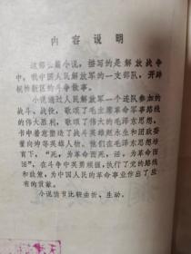 桐柏英雄  1972年一版一印  馆藏书