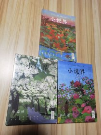 小说界2023 1 总246 2023 3 总248 2023 6 总251 三册合售 品好 3、6期未拆封