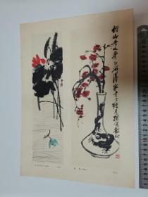 荷塘翠鸟 瓶梅 齐白石
