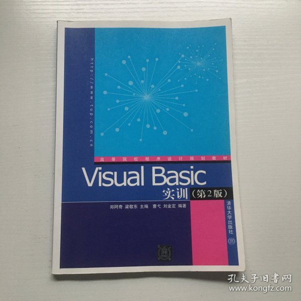 Visual Basic实训（第2版）