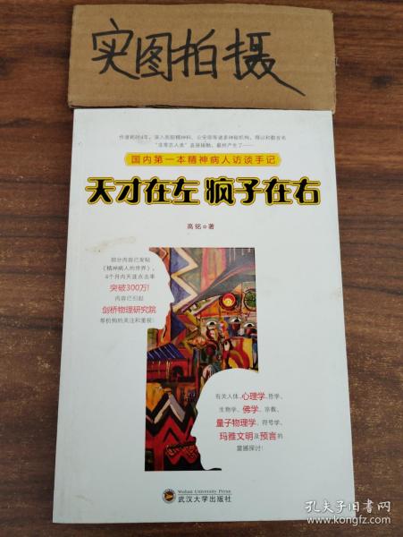 天才在左 疯子在右：国内第一本精神病人访谈手记