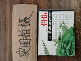 骨伤中草药与验方