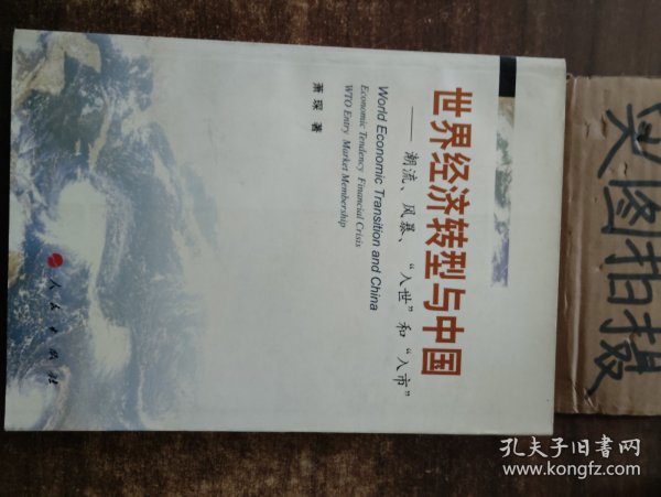 世界经济转型与中国：潮流、风暴、“入世”与“入市”