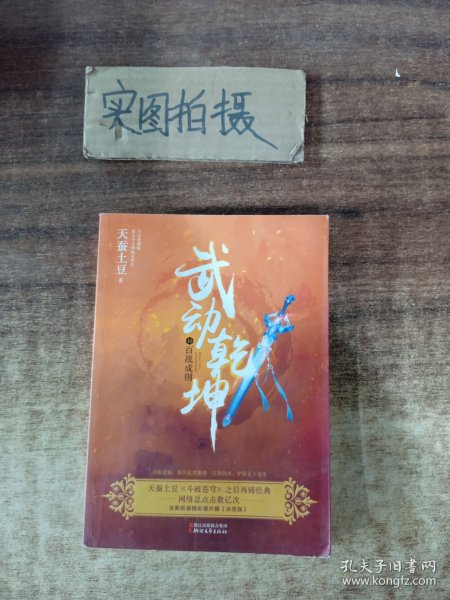 武动乾坤10：百战成钢