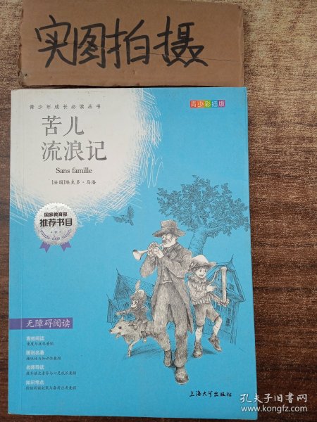 钟书图书·我最优阅·青少版彩插版·苦儿流浪记（第二辑）