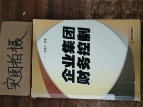 企业集团财务控制