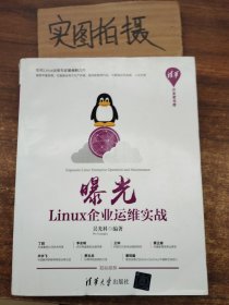 曝光：Linux企业运维实战