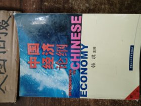 中国经济论纲