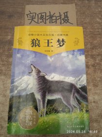 狼王梦