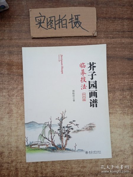 芥子园画谱临摹技法：山水卷