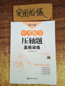 圆/周计划:中考数学压轴题高效训练