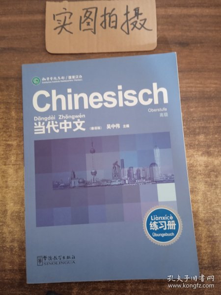 当代中文：高级练习册（德语版）