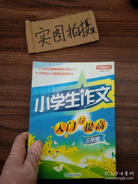 方洲新概念：小学生作文入门与提高（3年级）