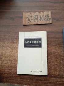 小企业会计制度