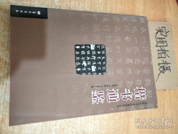 中国书法艺术通鉴系列丛书：楷书通鉴