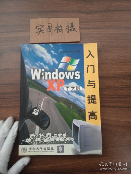 WindowsXP入门与提高(中文版)