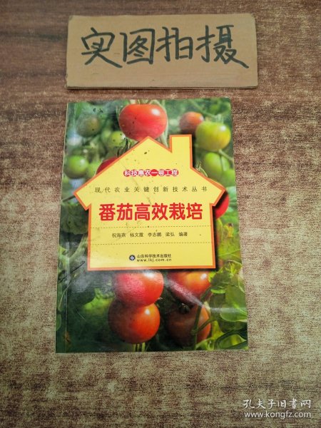 科技惠农一号工程：番茄高效栽培