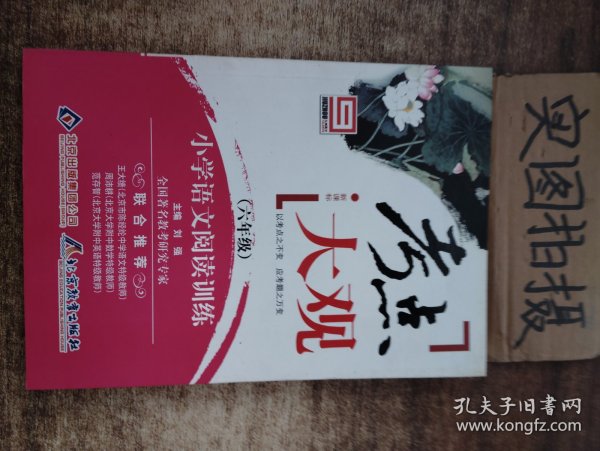 考点大观：小学语文阅读训练（6年级）