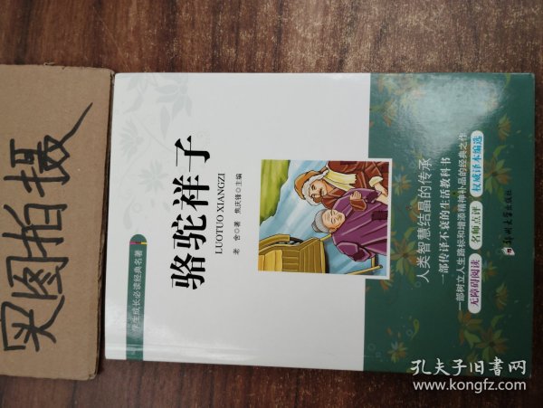 骆驼祥子/学生成长必读经典名著