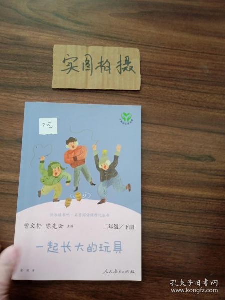 快乐读书吧一起长大的玩具人教版二年级下册教育部（统）编语文教材指定推荐必读书目人民教育