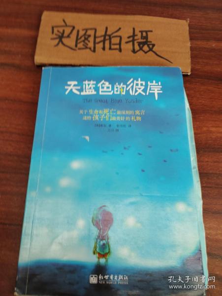 天蓝色的彼岸：关于生命和死亡最深刻的寓言