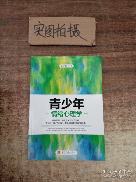 青少年情绪心理学