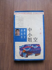 1992年  青年文学丛书 《空中小姐 》【左上破损 有缺陷 看描述】