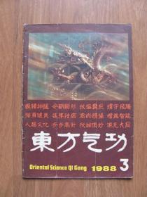 《东方气功》1988年第3期【水迹】