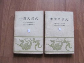 《中国文学史》第二，三册【第2册有笔迹 。 水渍黄斑等 详看描述】