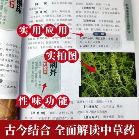 【正版】7册新编本草纲目中草药李时珍中草药大全中医基础理论本草纲目原版全套神农本草经百草良方黄帝内经中药学全图鉴中医书籍