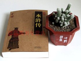 水浒传/中国古典名著百部藏书 插图版 施耐庵著（水浒传原著/水浒传白话文）中国古典历史小说/中国古典四大名著之水浒传区域正品