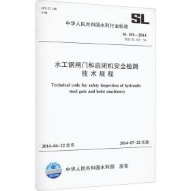 水工钢闸门检测理论与实践