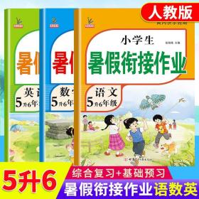 新版五年级数学暑假作业部编人教版5升6年级暑假衔接作业（复习+预习）