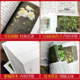 【正版】7册新编本草纲目中草药李时珍中草药大全中医基础理论本草纲目原版全套神农本草经百草良方黄帝内经中药学全图鉴中医书籍