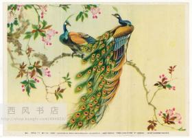 原版解放初期（五十年代）彩色画片，戈湘岚作《四季花鸟一，孔雀》，上海画片出版社出版，新华书店上海发行所总经售，华一印刷厂印刷。