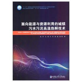 面向能源与资源利用的城镇污水污泥高温热解技术