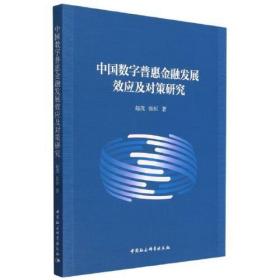 中国数字普惠金融发展效应及对策研究