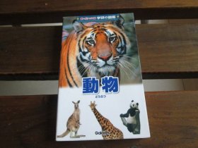 日文 动物 (学研の図鑑 新・ポケット版 3) 今泉忠明