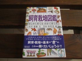 日文 饲育栽培図鑑―はじめて育てる・自分で育てる (Do!図鑑シリーズ) 有沢重雄 、 月本佳代美