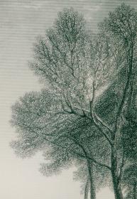 1870年代豪华版钢版画（大幅中国裱贴）威廉·特纳作品《像维纳斯一样出浴的芙里妮》45×31厘米