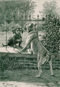 1892年木口木刻版画《皮拉摩斯和提斯柏》40.5×27.5厘米（19）