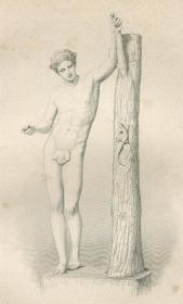 1876年钢版画《阿波罗》 30×21厘米
