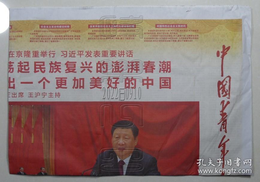 中国青年报2022年5月11日（庆祝中国共产主义青年团成立100周年大会在京举行）