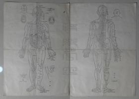 人体穴位图（双面印刷）
