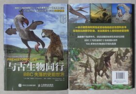 与古生物同行：BBC失落的史前世界（24051204）