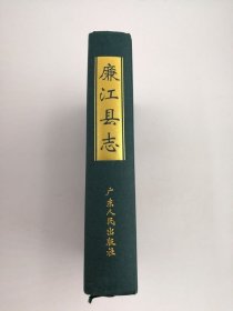 廉江縣志 廣東人民出版社 1995版 正版